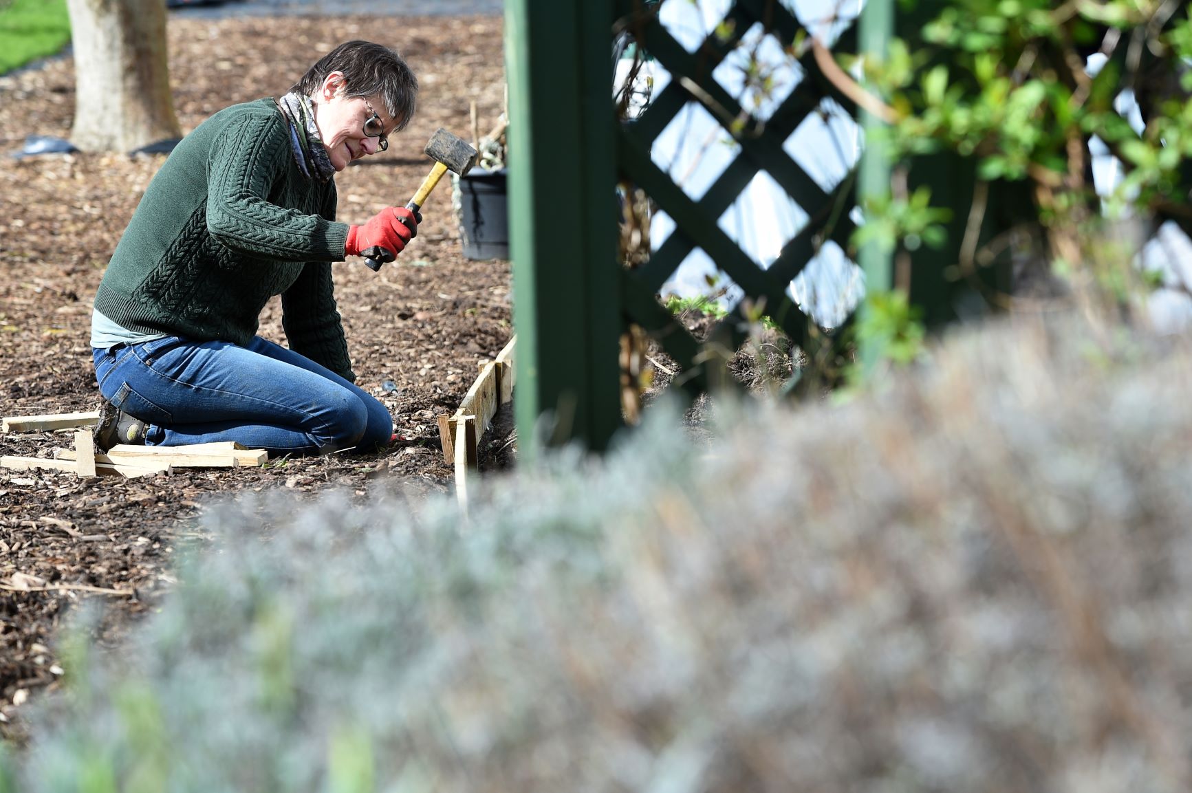 Lady hammering in vegetable plot divides